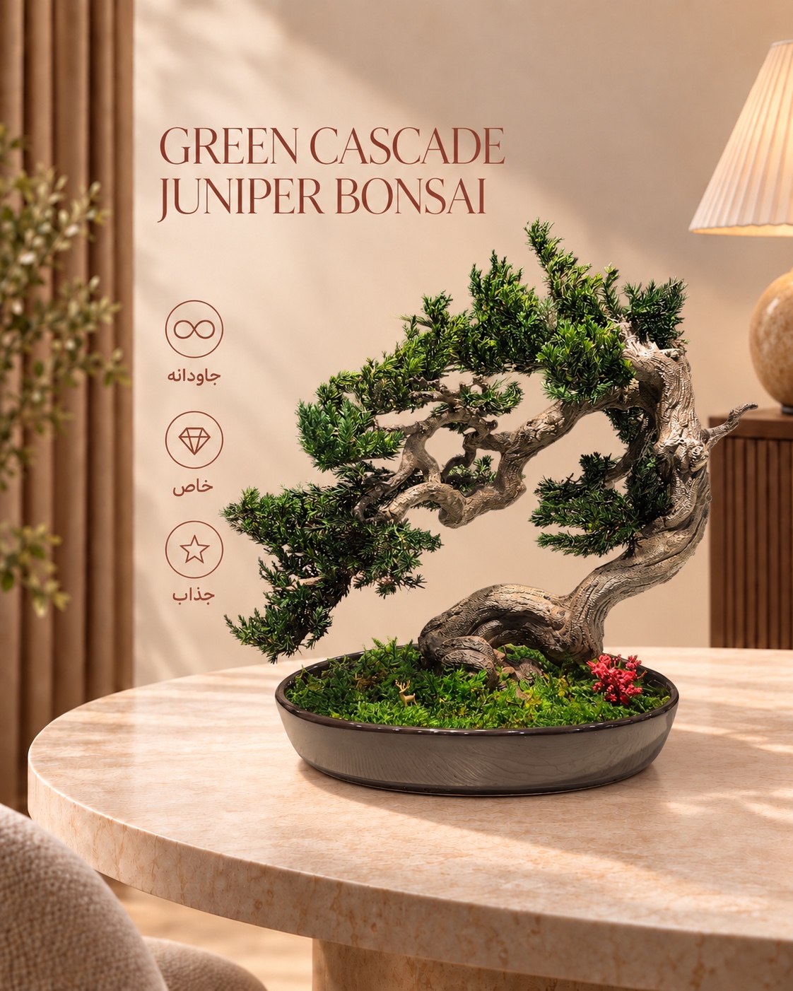 Green Cascade Juniper Bonsai with flowing branches, a twisting trunk, moss and miniature details