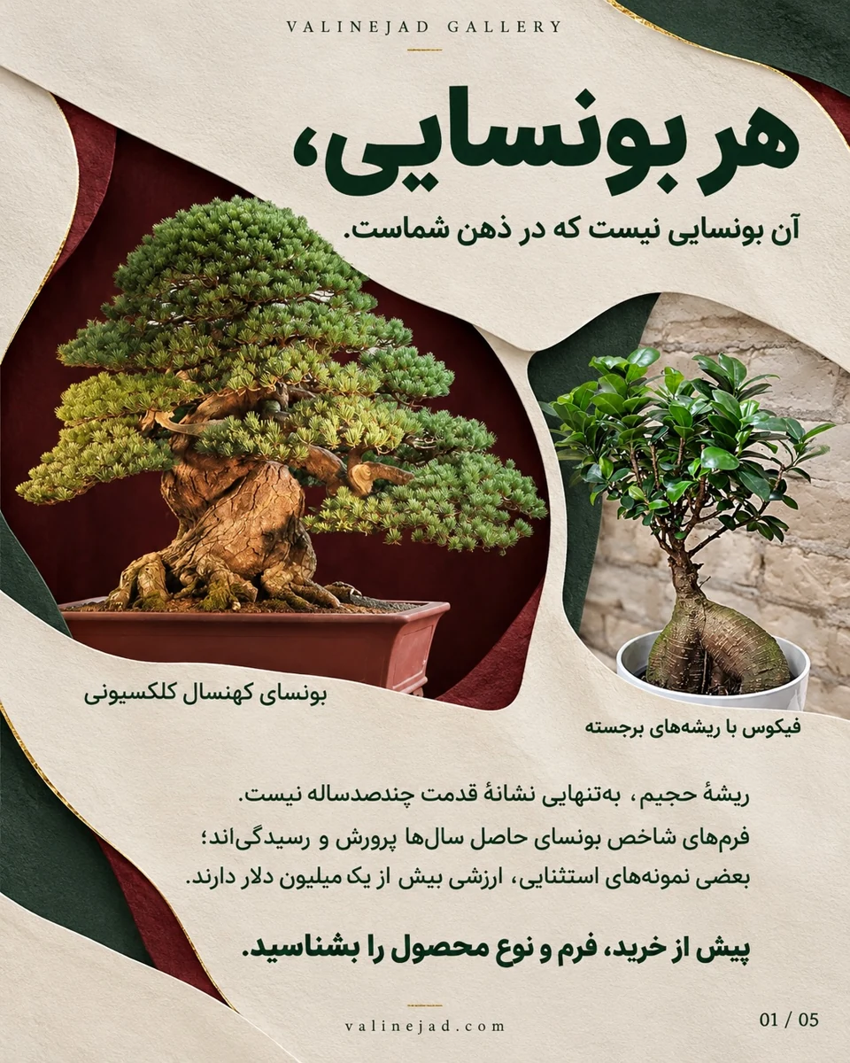گالری والی‌نژاد