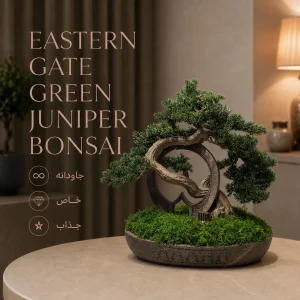 بونسای جونیپروس سبز؛ دروازه شرق