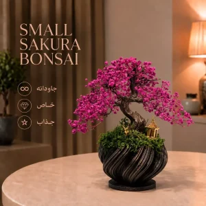 بونسای ساکورا کوچک